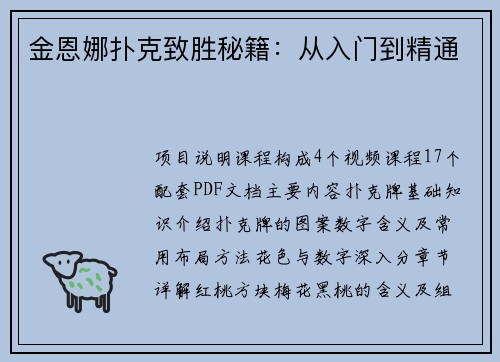 金恩娜扑克致胜秘籍：从入门到精通